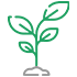 Extraits naturels d'herbes